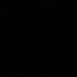 Meet your Posher, Sophie